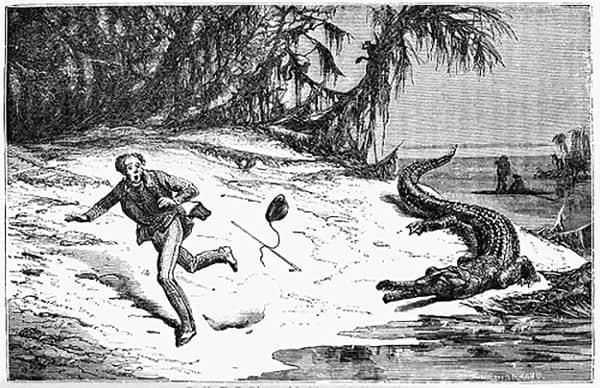 Man being chased by an alligator Man being chased by an alligator