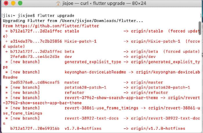 图 1: 升级 Flutter 到最新版