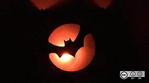 Halloween - backlit bat flying 万圣节 - 背光飞行的蝙蝠
