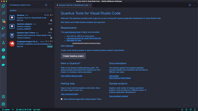 VSCodium IDE screenshot VSCodium IDE screenshot