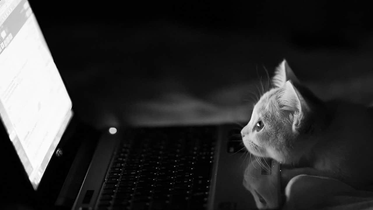 email or newsletters via inbox and browser