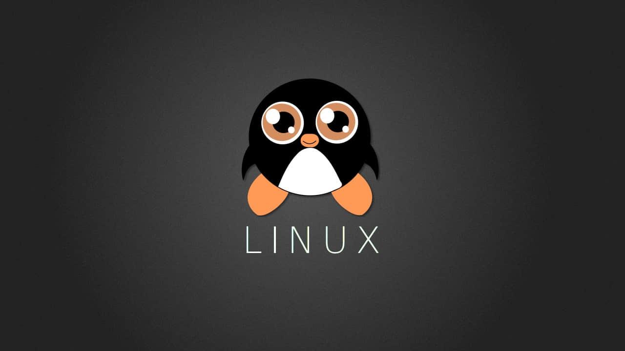 bash logo on green background
