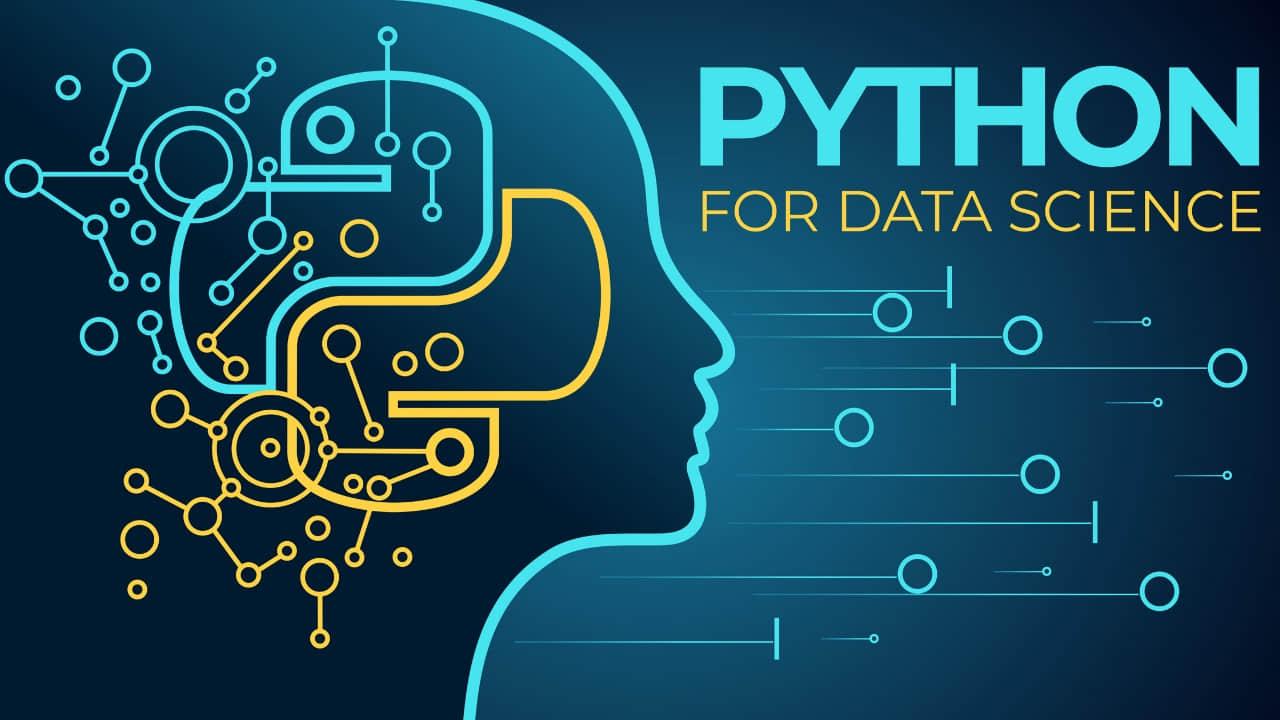 Python programming language logo with question marks