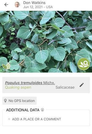 Identified plant Identified plant