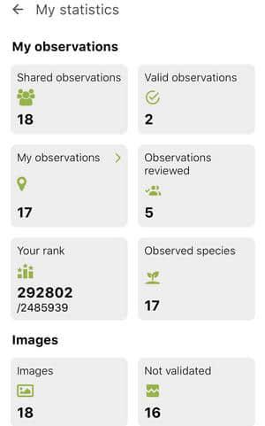 Pl@ntnet provides user stats Pl@ntnet provides user stats