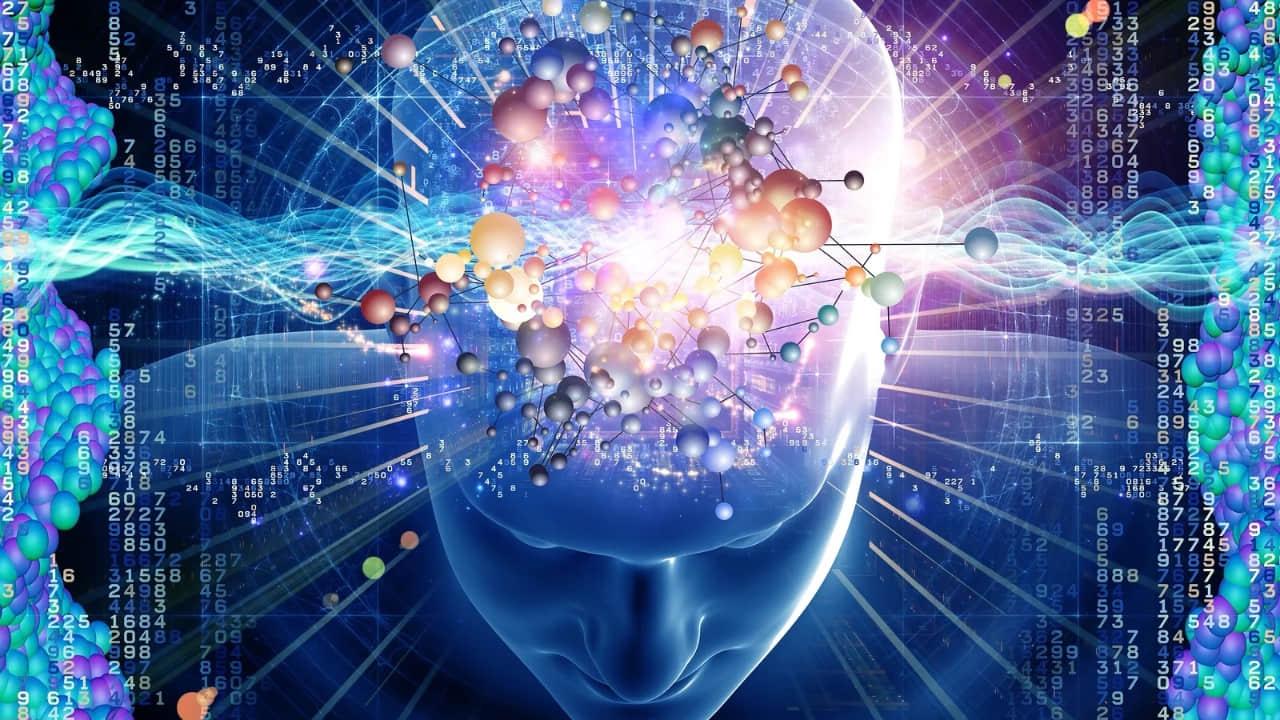 Brain on a computer screen