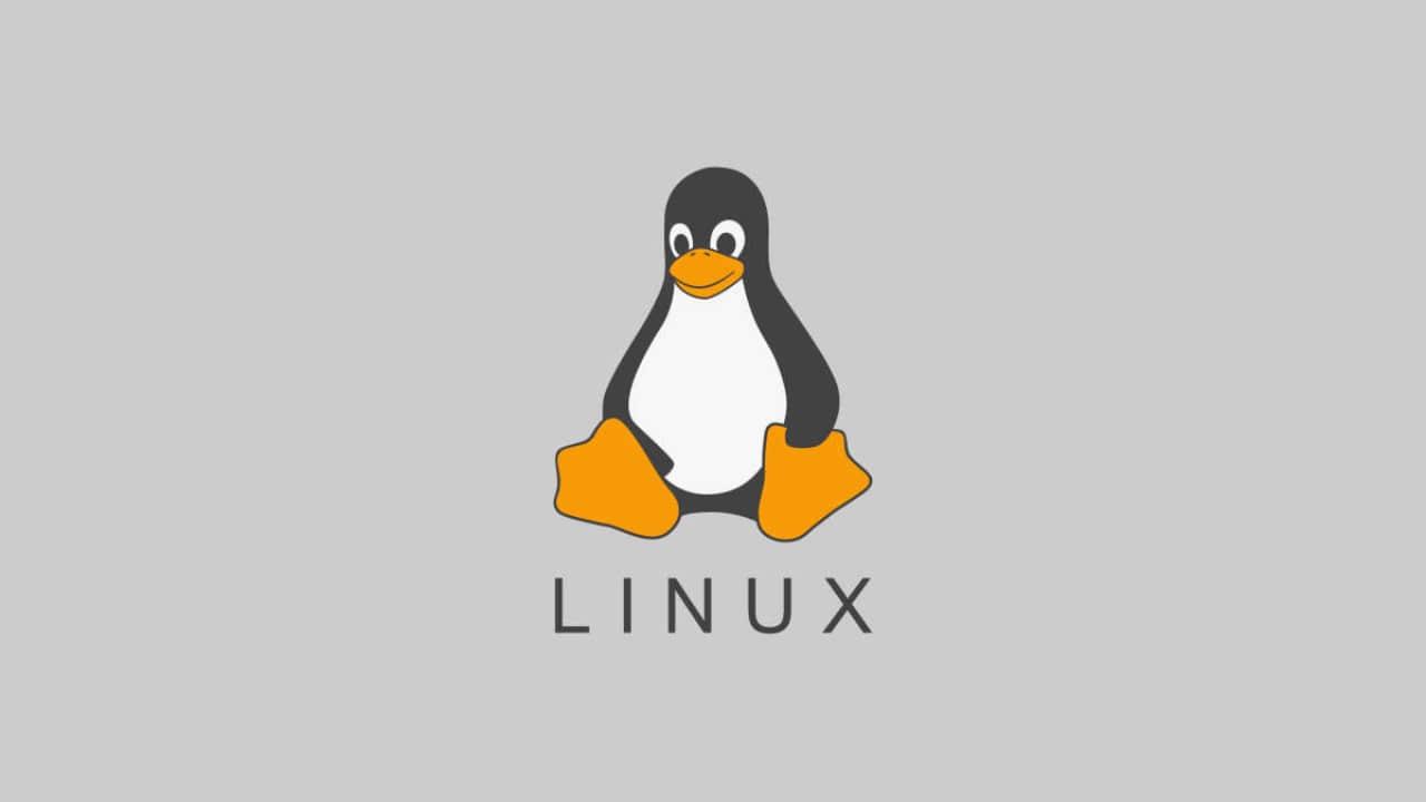 Linux keys on the keyboard for a desktop computer