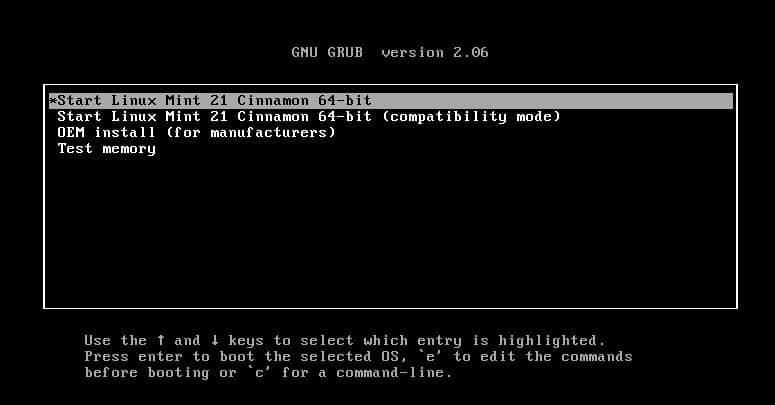 图 10:Linux Mint GRUB 菜单启动安装