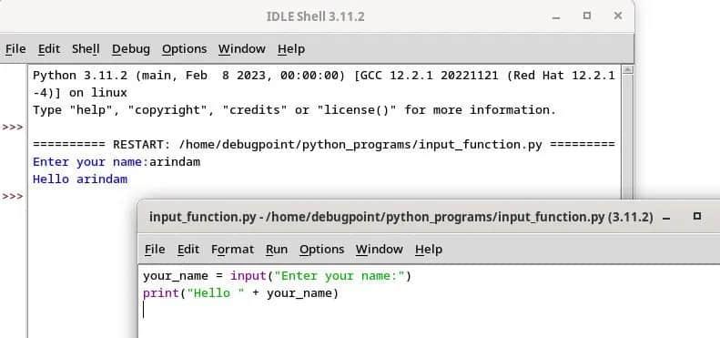 Python 输入函数:一个简单的例子