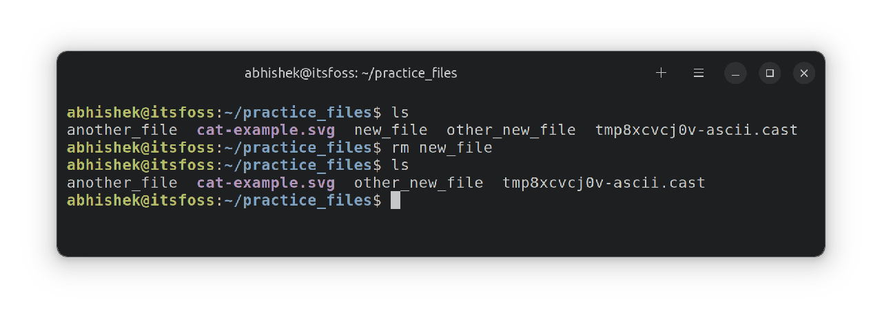 Removing files in Linux terminal